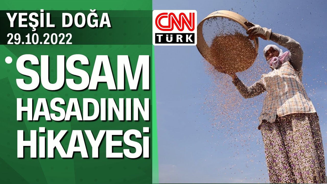 Muğla'daki susam hasadının hikayesi - Yeşil Doğa 29.10.2022 Cumartesi
