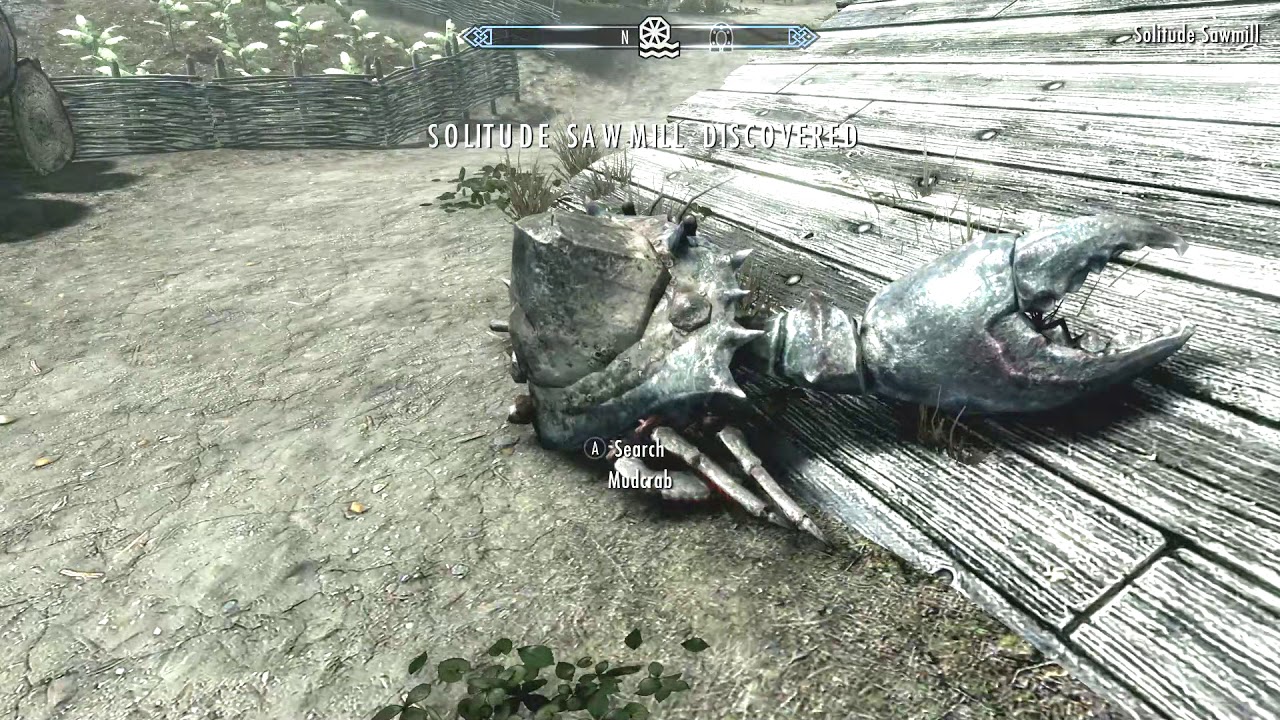 Mudcrab disappeared and reappeared OMG ? - Skyrim
