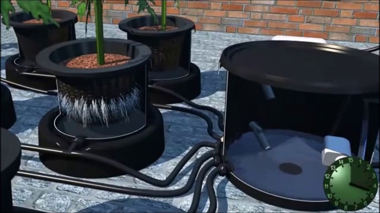 How The IWS Flood and Drain Hydroponics System Works
