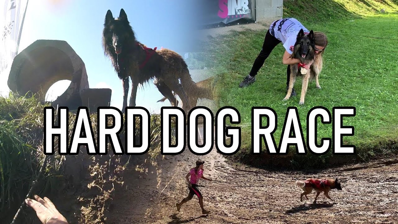 Hard Dog Race | Extreme Obstacle Race | Mud Run