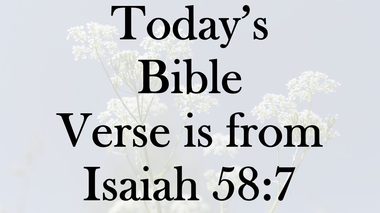 Today’s Bible Verse is from the book of the Prophet Isaiah 58:7