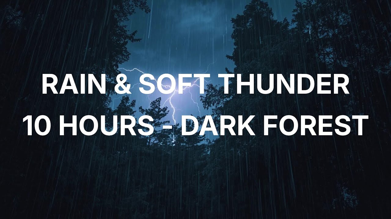 10 Hours of Rain & Soft Thunder in a Dark Forest — Deep Sleep, Relaxation & Study Ambience | NO ADS