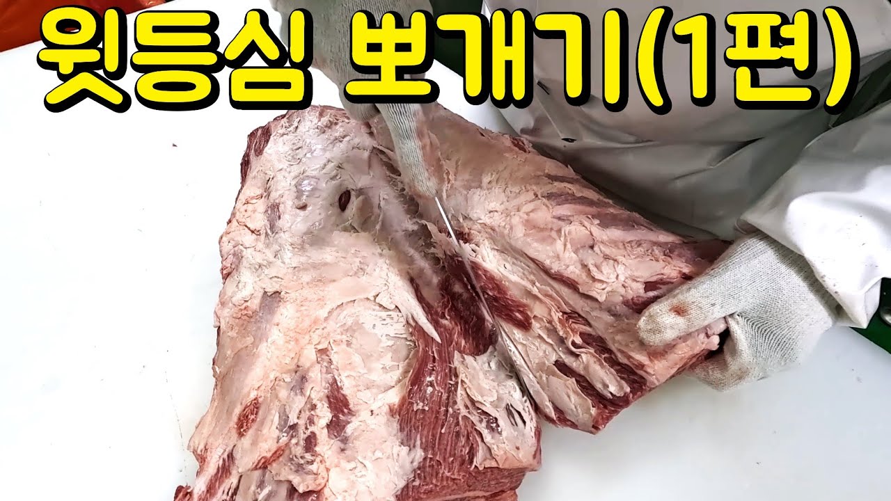 고오급 스킬 윗등심 뽀개기1편 1인칭POV