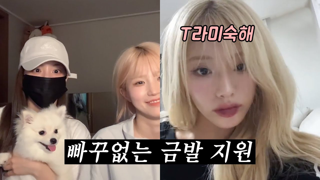 브레이크가 존재하지 않는 박지원 [프로미스나인]