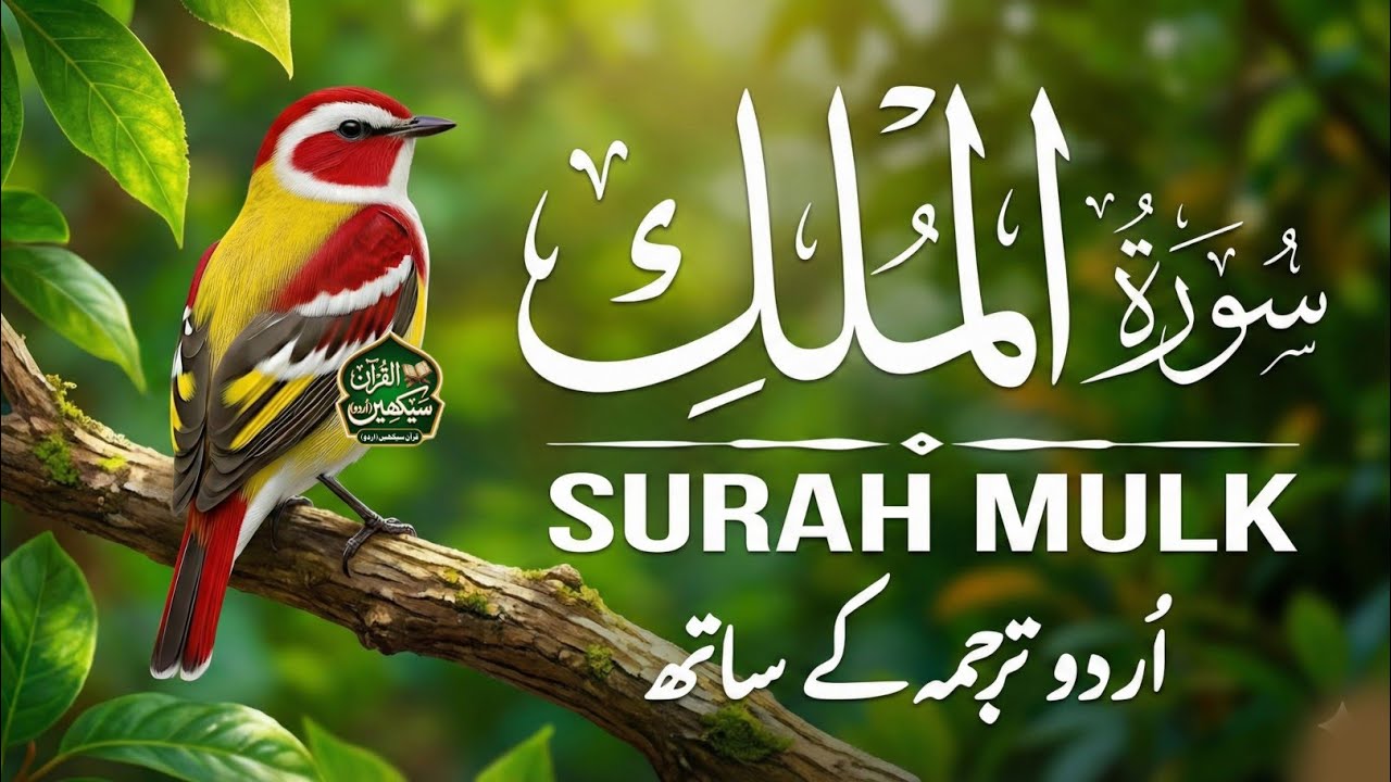 Surah Al-Mulk (سورة الملك) | Peaceful Quran Tilawat to Relax the Heart & Mind | With Urdu Tarjuma