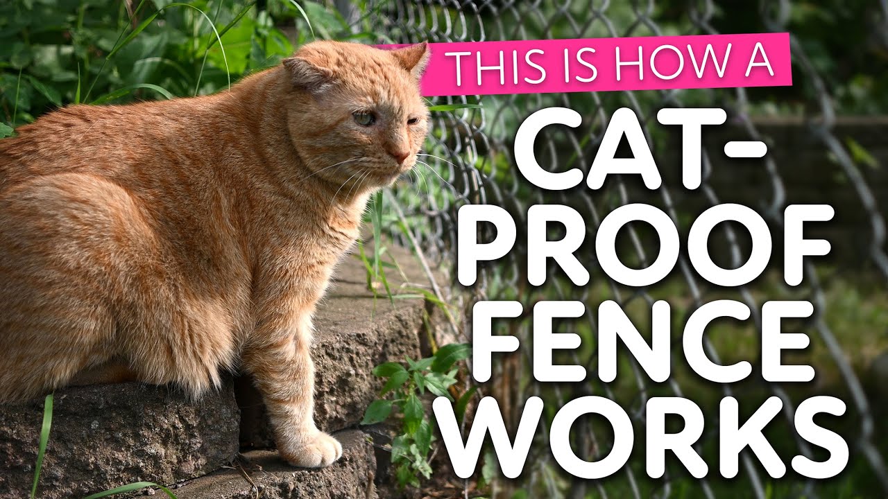 How a Cat-Proof Fence Works