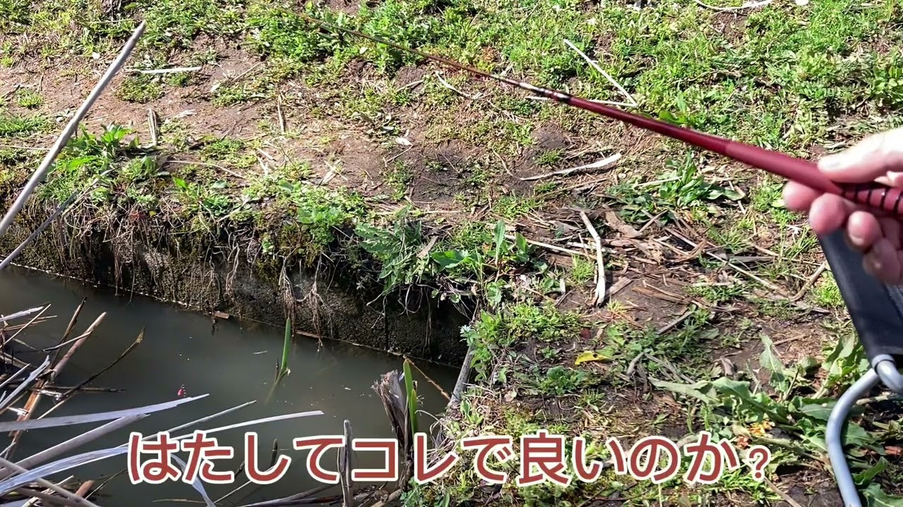 初めてのタナゴ釣り