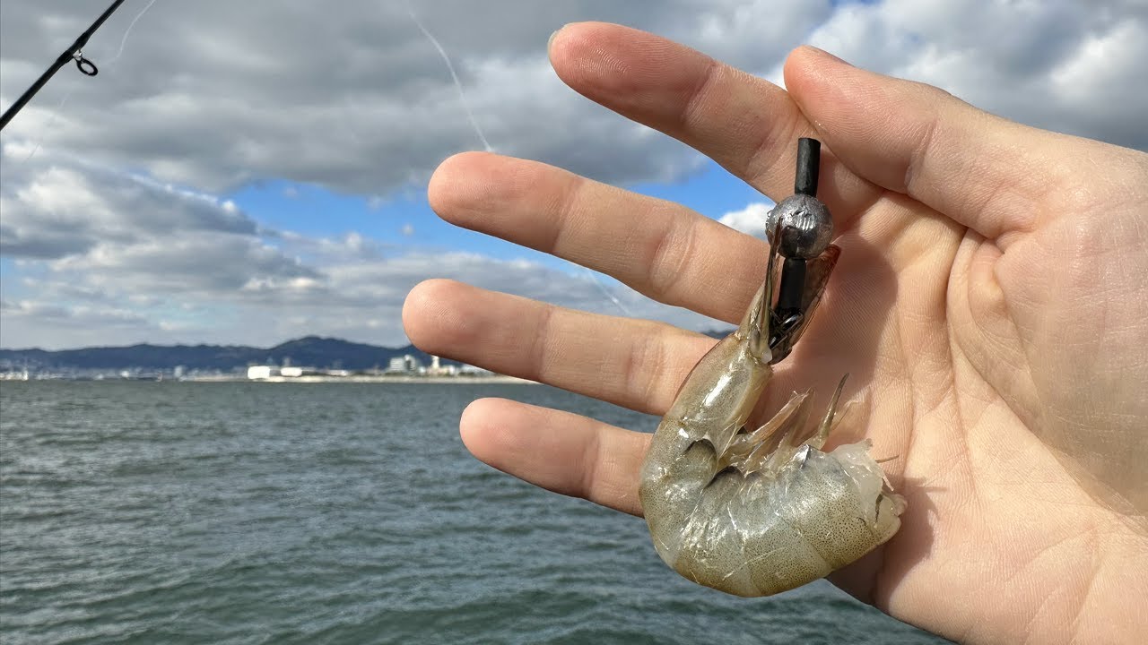 堤防にエビを落として釣りをしたら、巨大魚を釣ったので料理して食べてみました