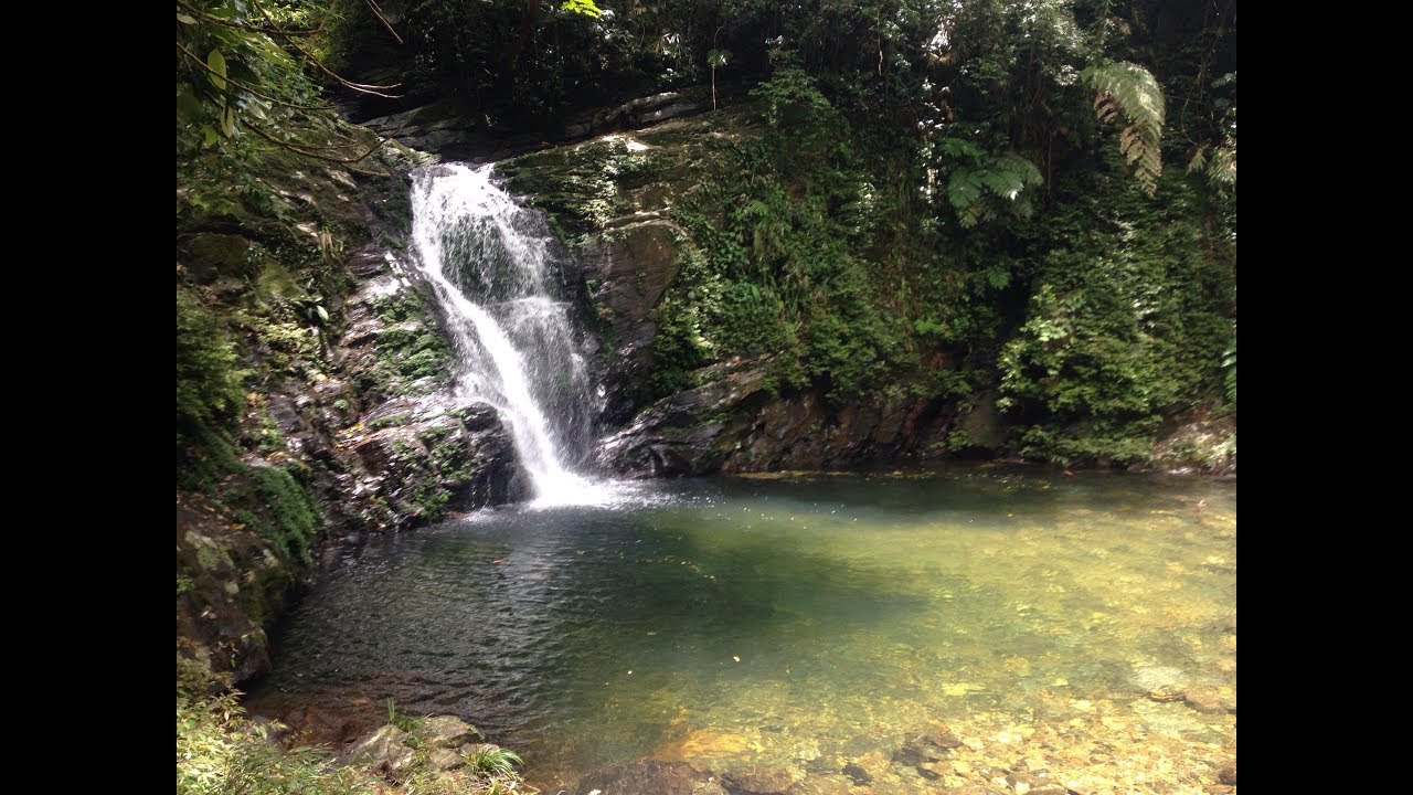 Vietnam - Hue/Lang Co - National park of  Bạch Mã - 31