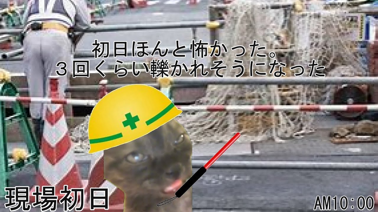 一般22歳フリーターの新しいバイト先【警備員】 #猫ミーム #猫マニ #猫マニア