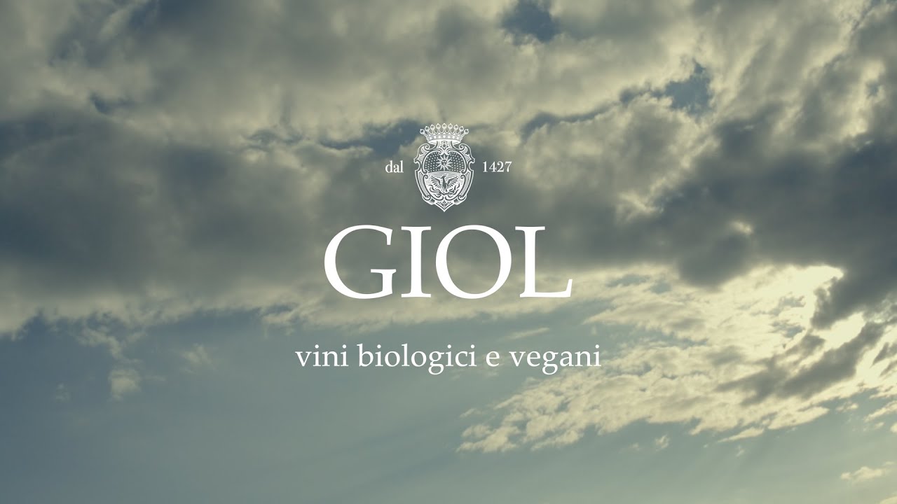 Tenuta Giol: Antiche Cantine, dal 1427