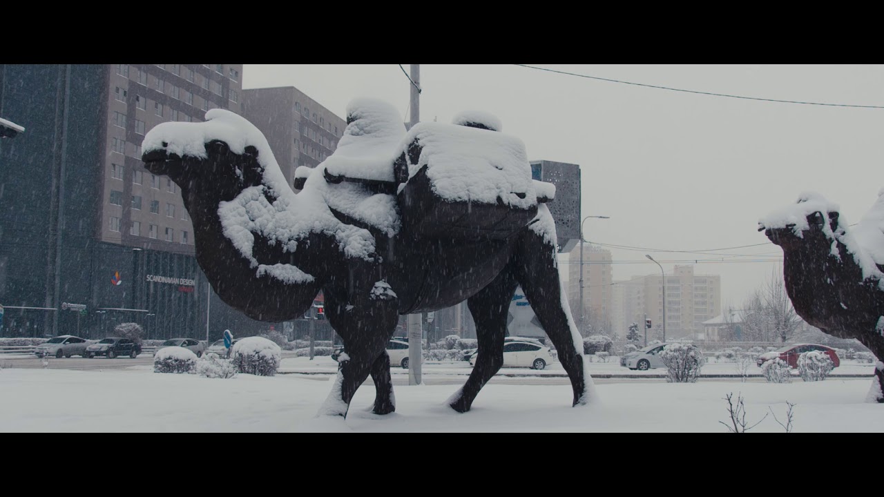 A snowy day in Ulaanbaatar