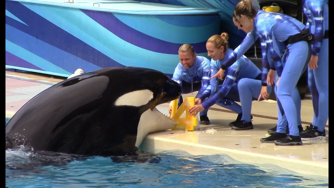 Happy 14th Birthday, Nakai! (One Ocean - SeaWorld San Diego - September 1, 2015)