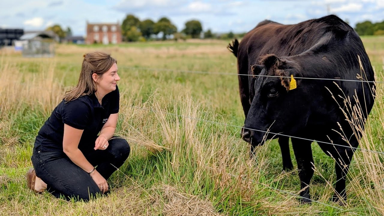Aubrey Allen invites chefs to Wyndford Wagyu