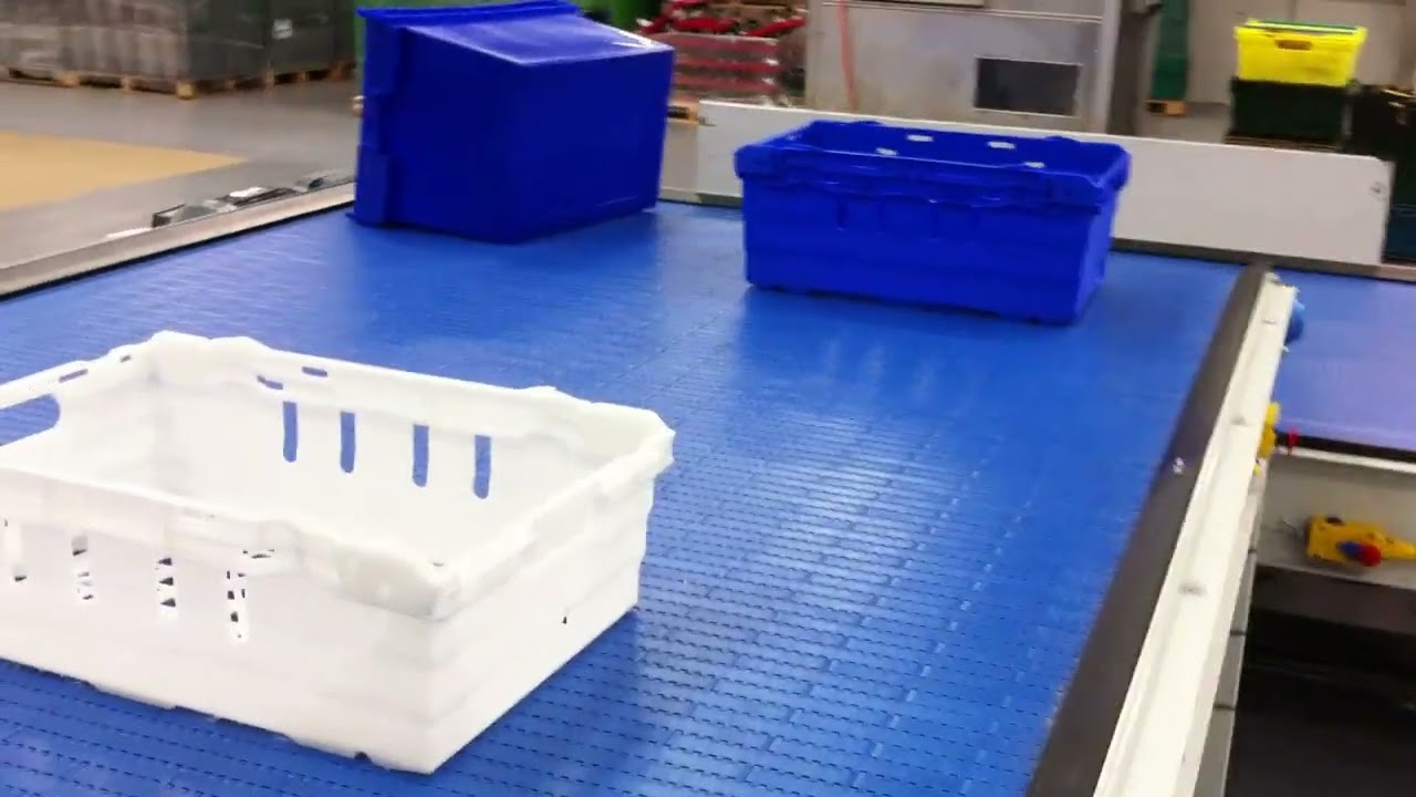 Modular Belt Conveyor System - Cartons