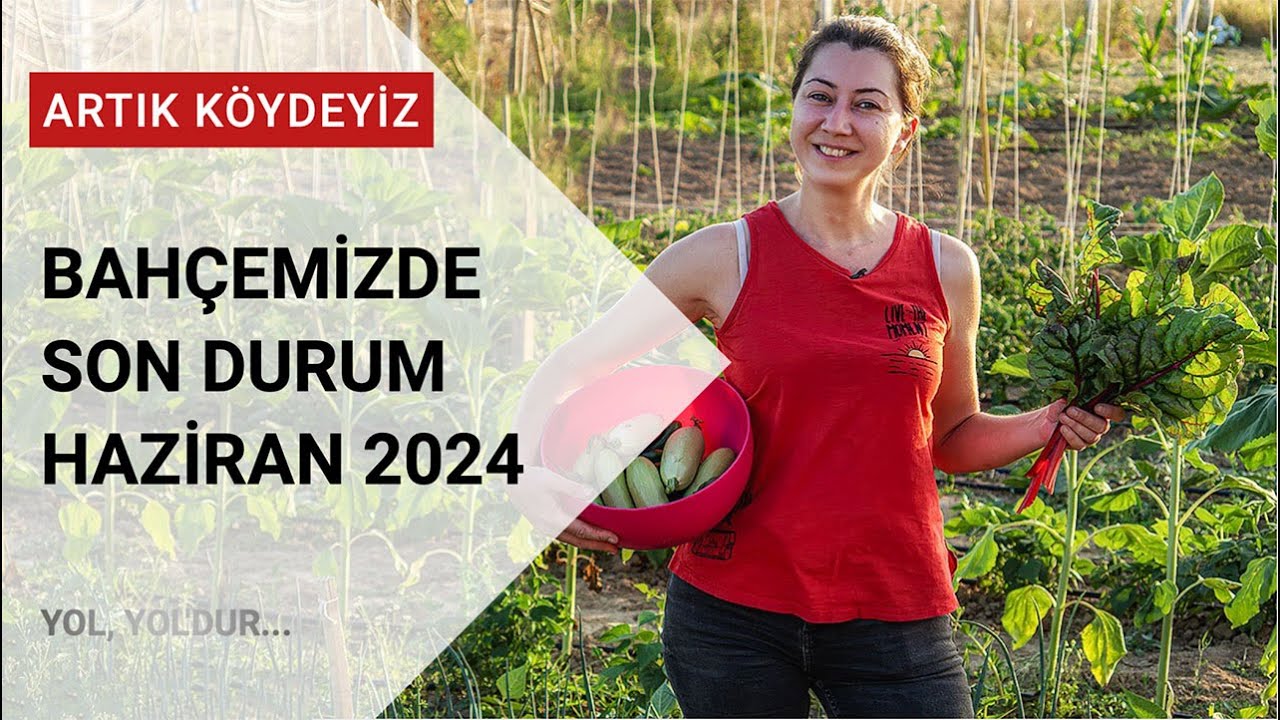 Bahçemizde Son Durum - Haziran 2024