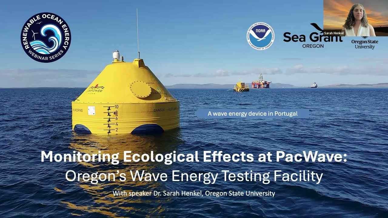 Monitoring Ecological Effects at PacWave – Sarah Henkel