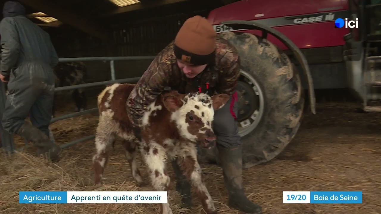 Apprenti agriculteur sans racines paysannes, Enzo découvre la vie à la ferme et vit son rêve