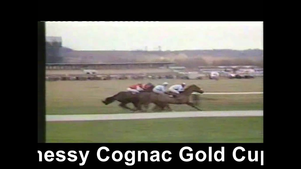 1981 Hennessy Gognac Gold Cup Newbury Extended Footage
