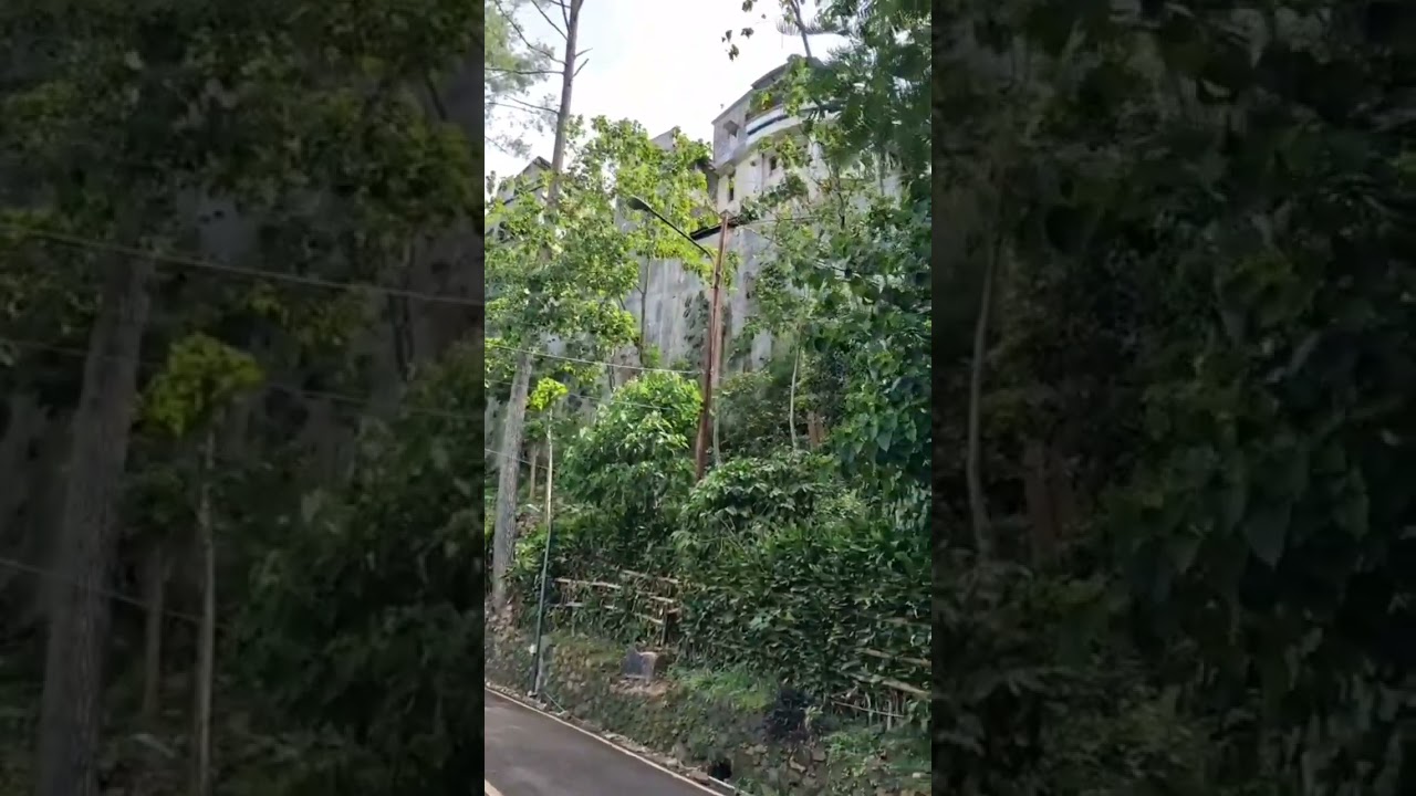 rumah di tebing, 