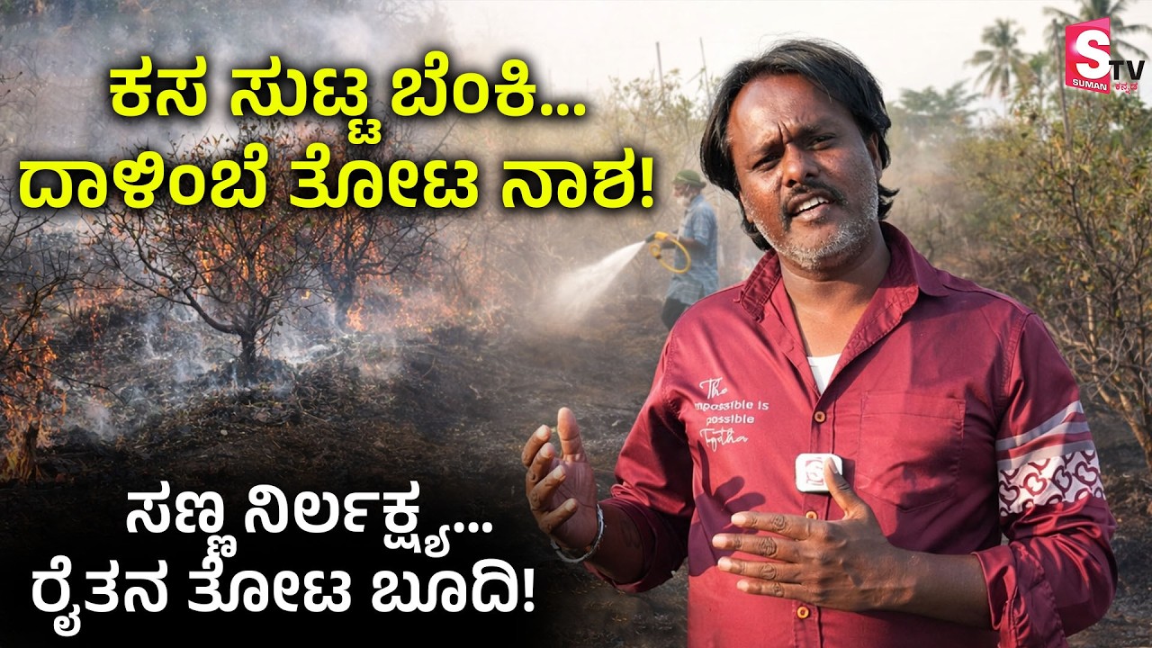 ರೈತನ ಬದುಕು ಬೂದಿ! ಸಣ್ಣ ನಿರ್ಲಕ್ಷ್ಯಕ್ಕೆ ಸುಟ್ಟು ಹೋದ ದಾಳಿಂಬೆ ತೋಟ | Chikkakadiganahalli | Farmer Crop Loss