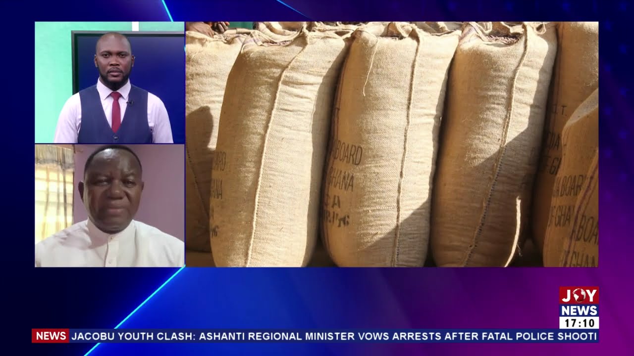 Govt sets new farmgate cocoa price at GHs41,392 per tonne for 2025-2026 season | Business Live