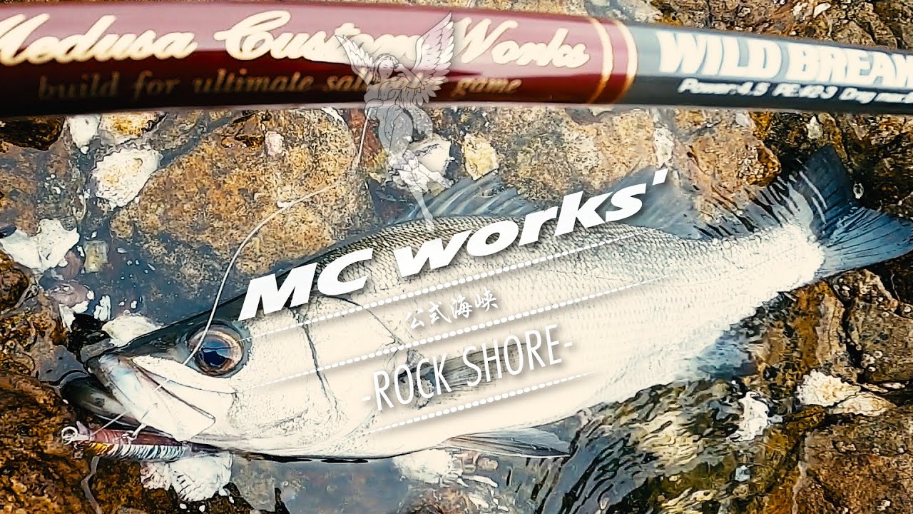 -ROCK SHORE- ≫ ヒラスズキやミドルクラスの青物を制御するのは…