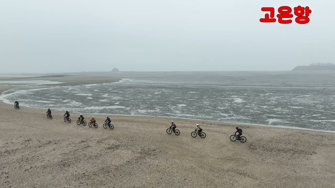 팀온