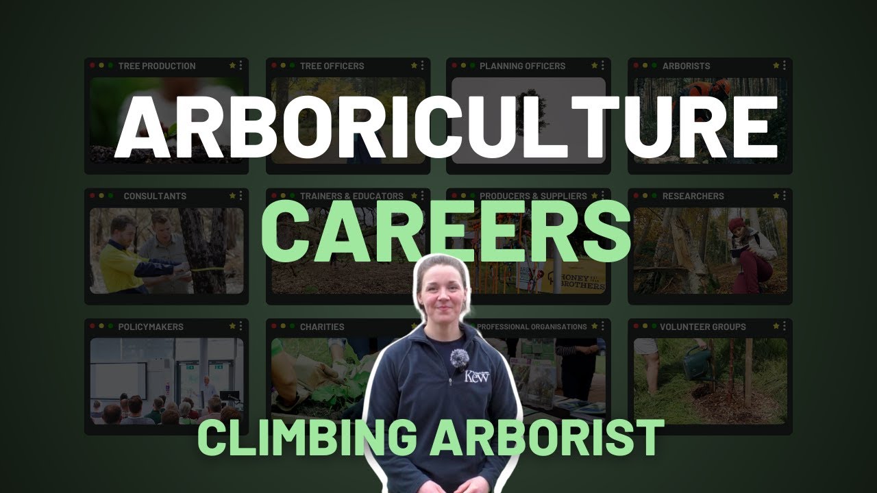 Arborists: Careers in Arboriculture