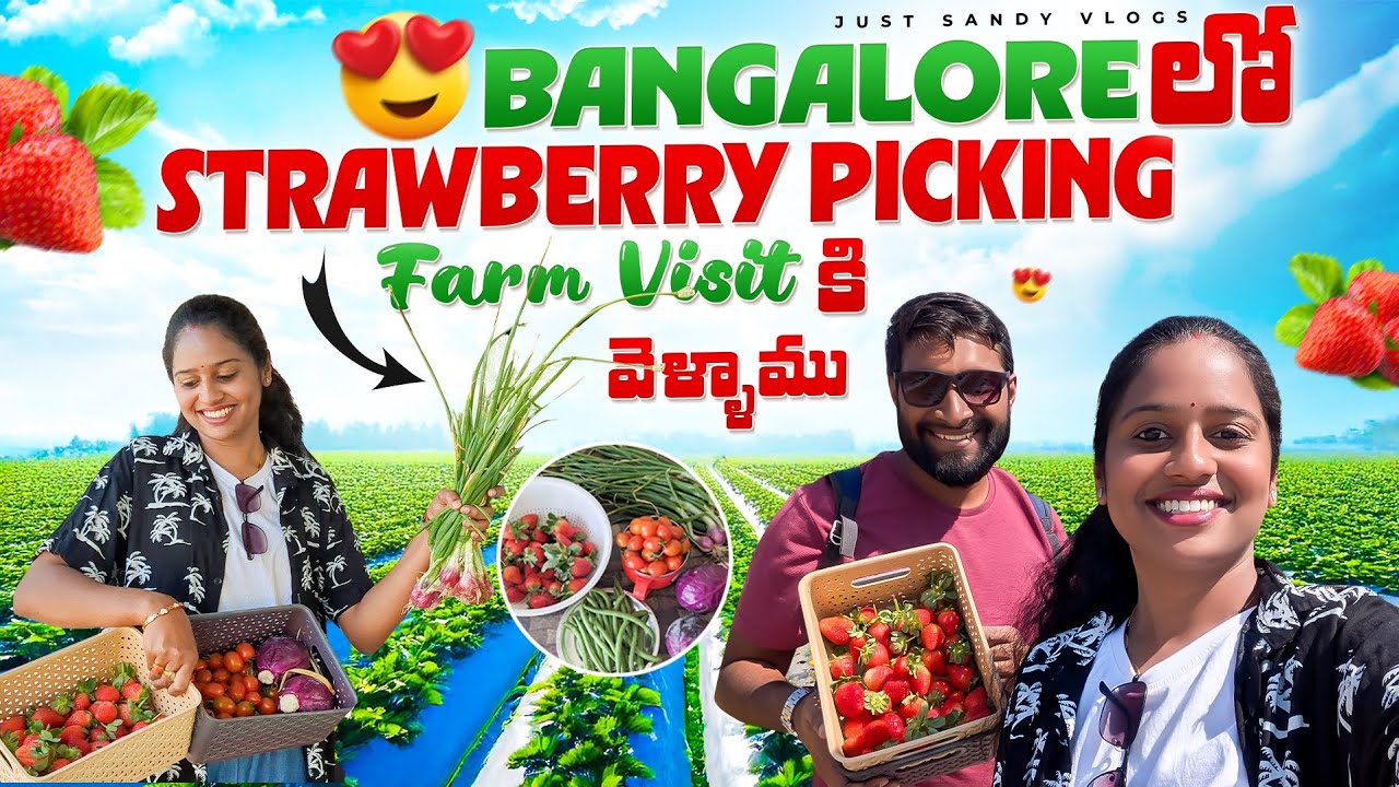 Bangalore లో మన తెలుగువాళ్ళ farm| Strawberry & Cherry Tomato pickingఅద్భుతం #youtubevideo #farmvisit