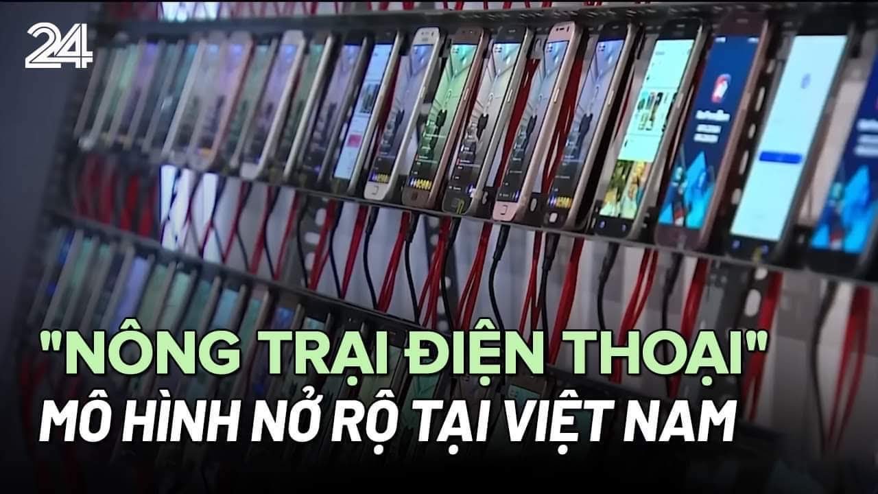 Nở rộ mô hình 