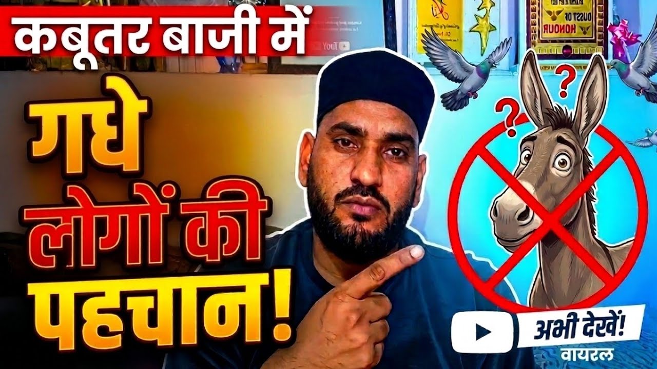 Kabutar Baji me Gadhe Logon ki Pehchan