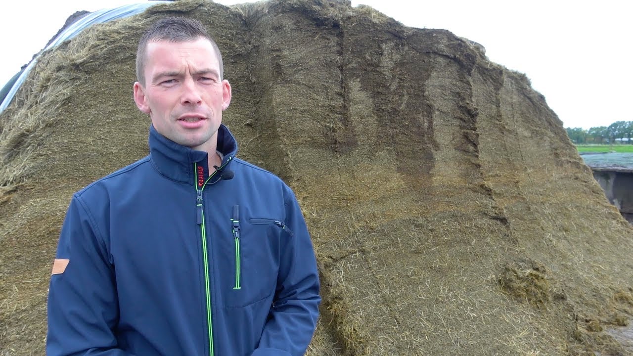 Topkuilfinalist Polinder melkt hard met veel ruwvoer - www.melkvee.nl