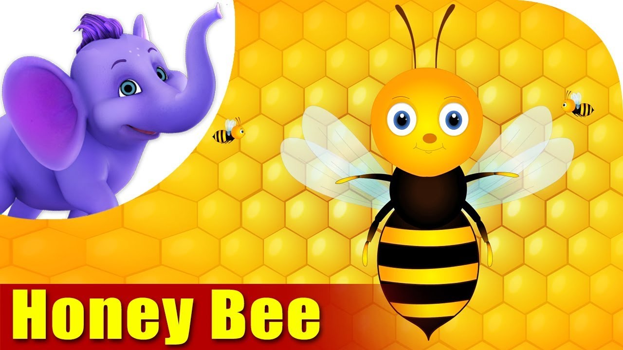Honey Bee | A Bug Song | 4K | Appu Series