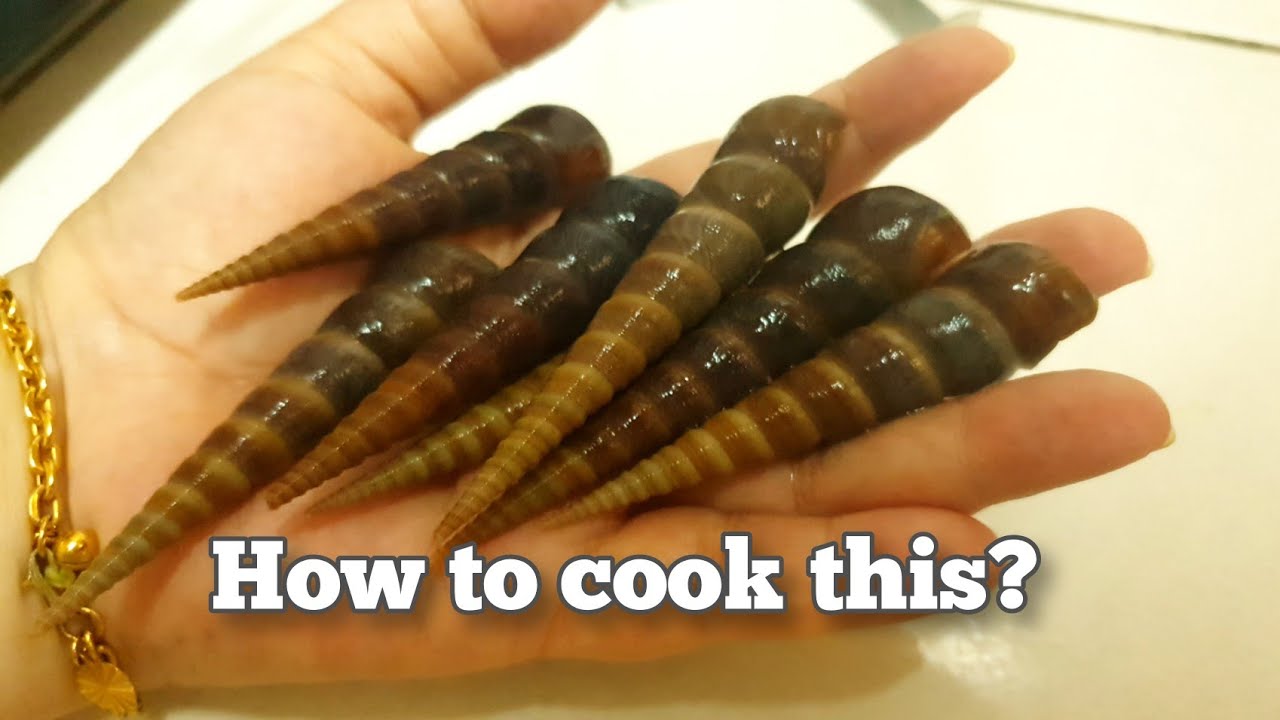 [Eng] Sweet & Savoury Sea Snail | Siput Sedut Tumis | Tuntul |