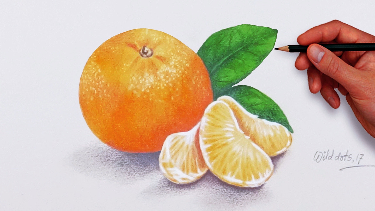 How To Draw An Orange  -  Easy And Simple Steps |