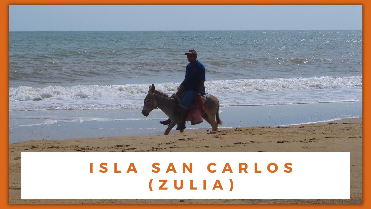 NC PENÍNSULA DE SAN CARLOS. Zulia. El castillo, burros, chivos, manglares. Lago de Maracaibo.