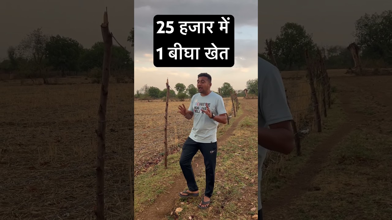 मात्र 25000 में एक बीघा खेत😱😱😱 #shorts #viralproperty #landforsale #khetikijameen