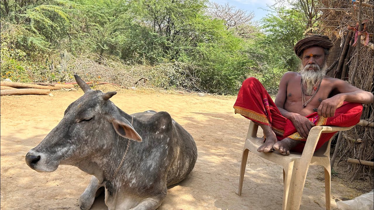 चित्रकूट से नागा संन्यासी लाइव दर्शन सत्संग #saint #aghoribaba #sadhu