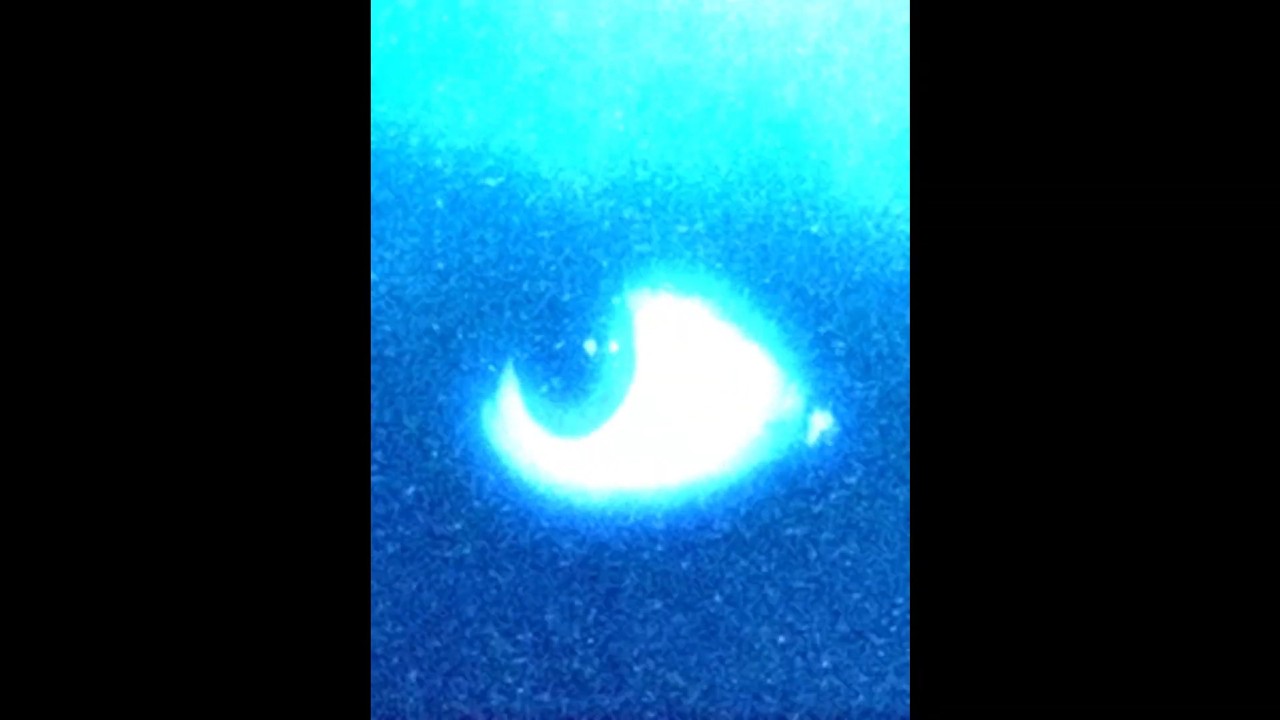 (FREE) 