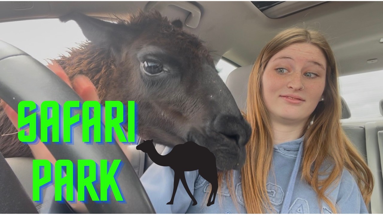 Safari Park Chaos🦓!
