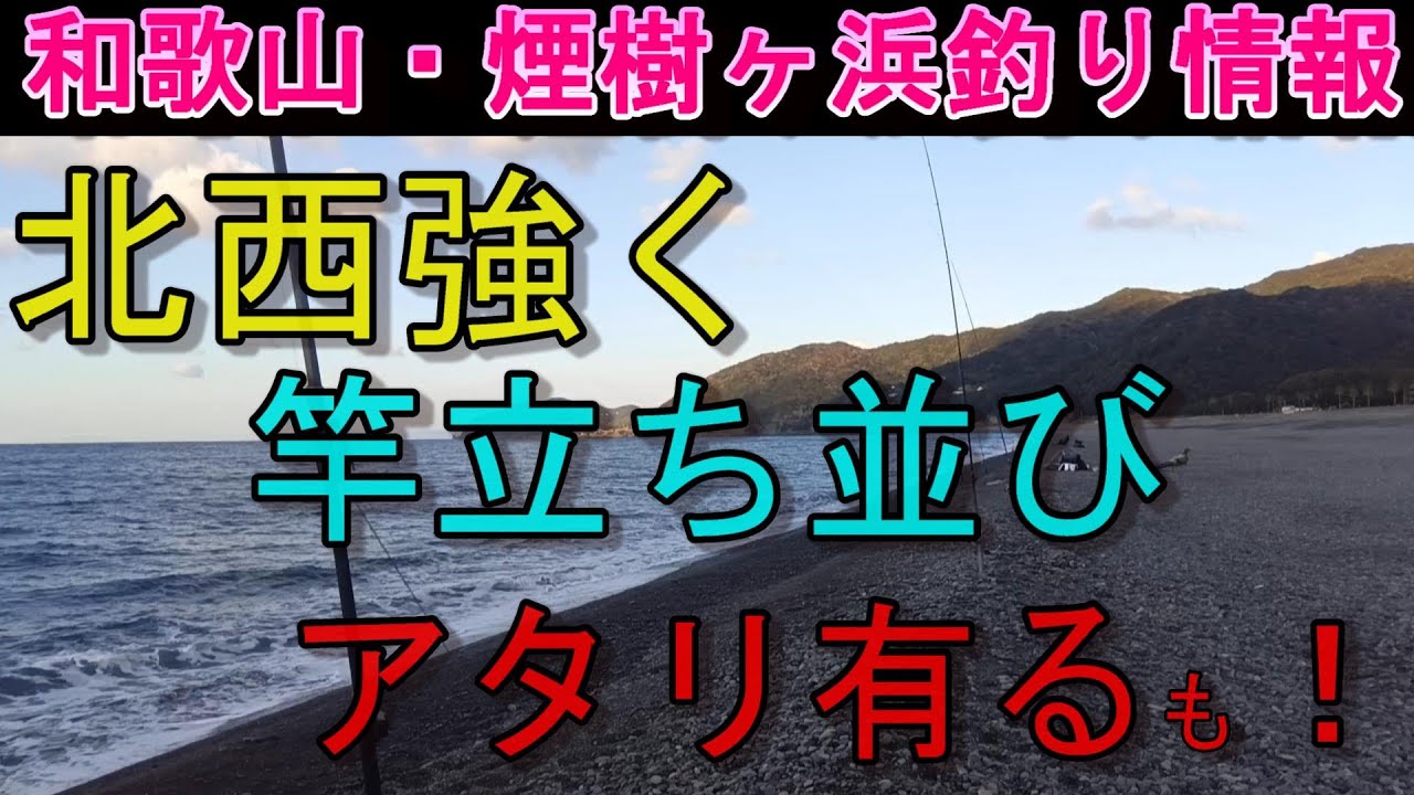01-29　煙樹ヶ浜釣り情報・取材編【第1504回】北西強く、竿立ち並び、アタリはあったがハリス切れ ＃遠投カゴ釣り #和歌山・釣り #煙樹ヶ浜