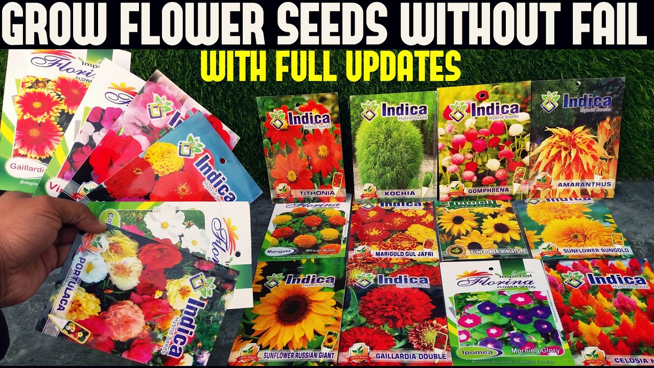 How To Grow Summer Flower Seeds (A-Z INFORMATION)
