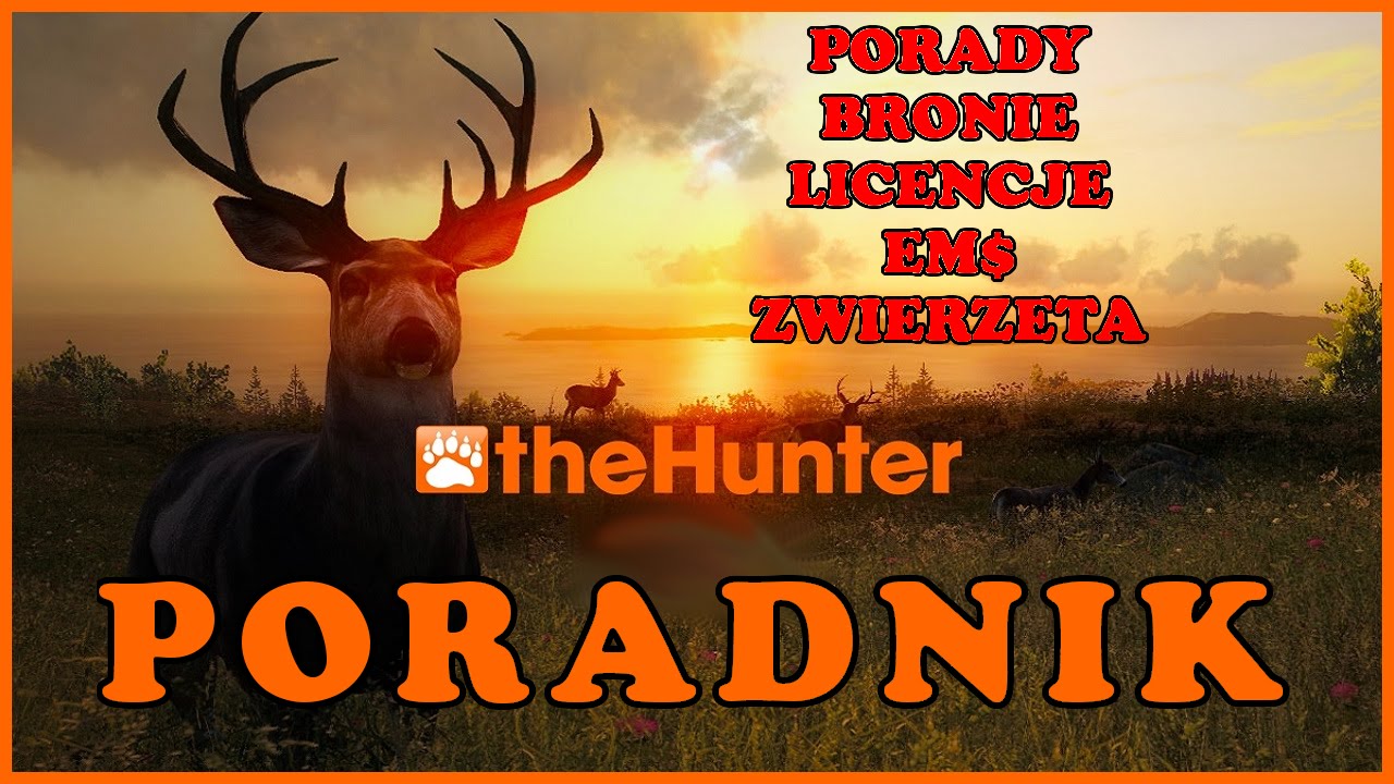 [Nieaktualny od 06.05.2019] THE HUNTER - PORADNIK DLA POCZĄTKUJĄCYCH