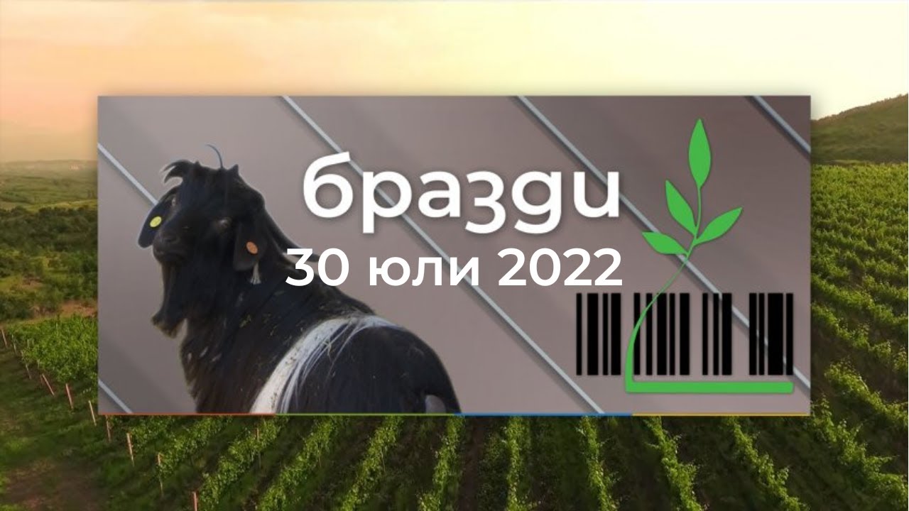 Избрано от 