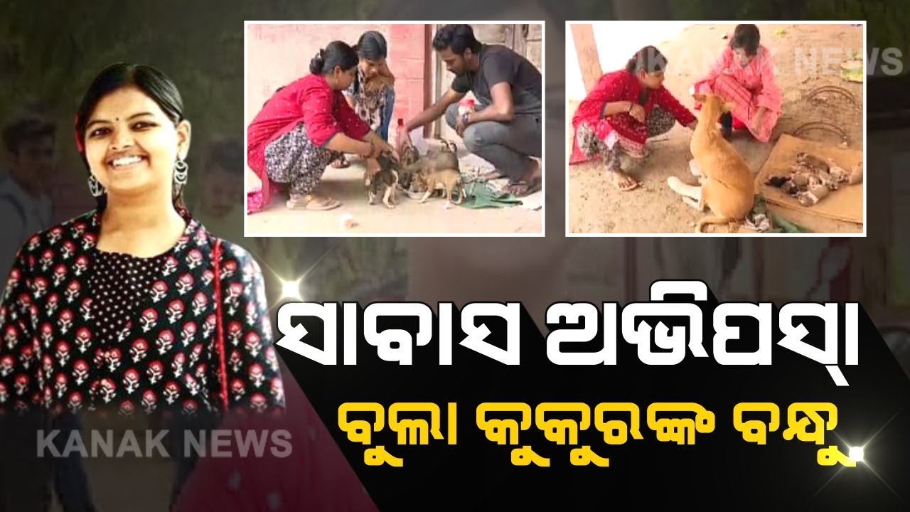 Hats Off! Highly Educated Girl Takes Care Of Stray Dogs In Cuttack