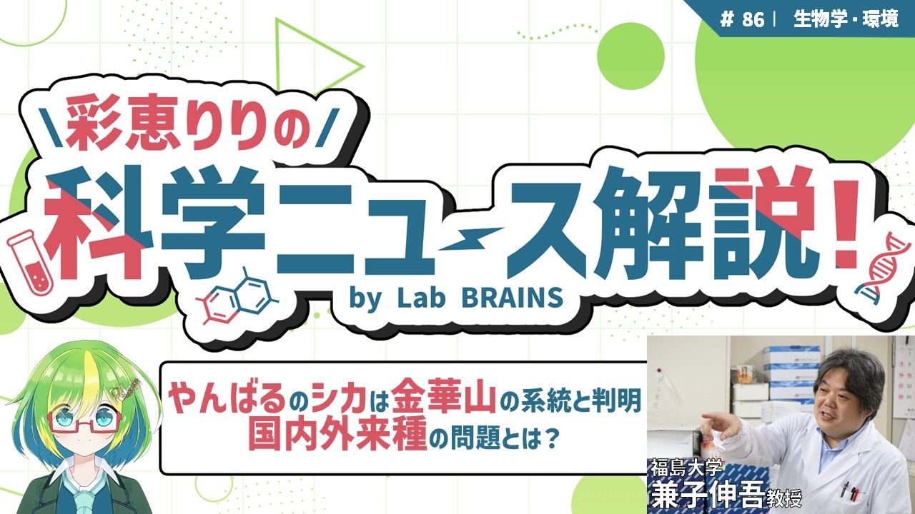 【Lab BRAINS解説】沖縄・やんばるで目撃のシカは宮城・金華山の系統と判明！【彩恵りり & 兼子教授】