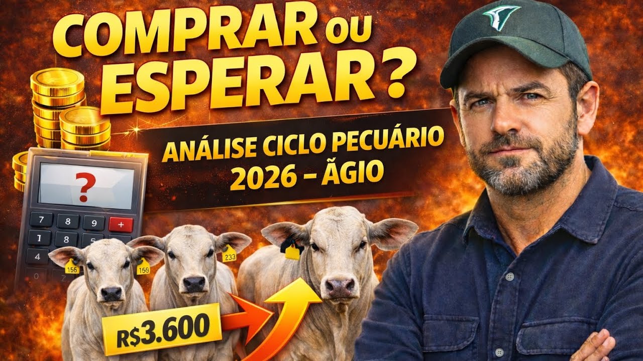 BEZERRO A R$ 3.600: COMPRA OU ARMADILHA? ANÁLISE CICLO PECUÁRIO 2026