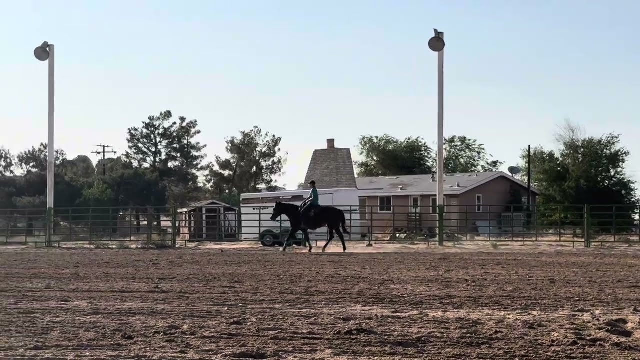 Arabella Clark NCEA Recruitment: Ranch Riding