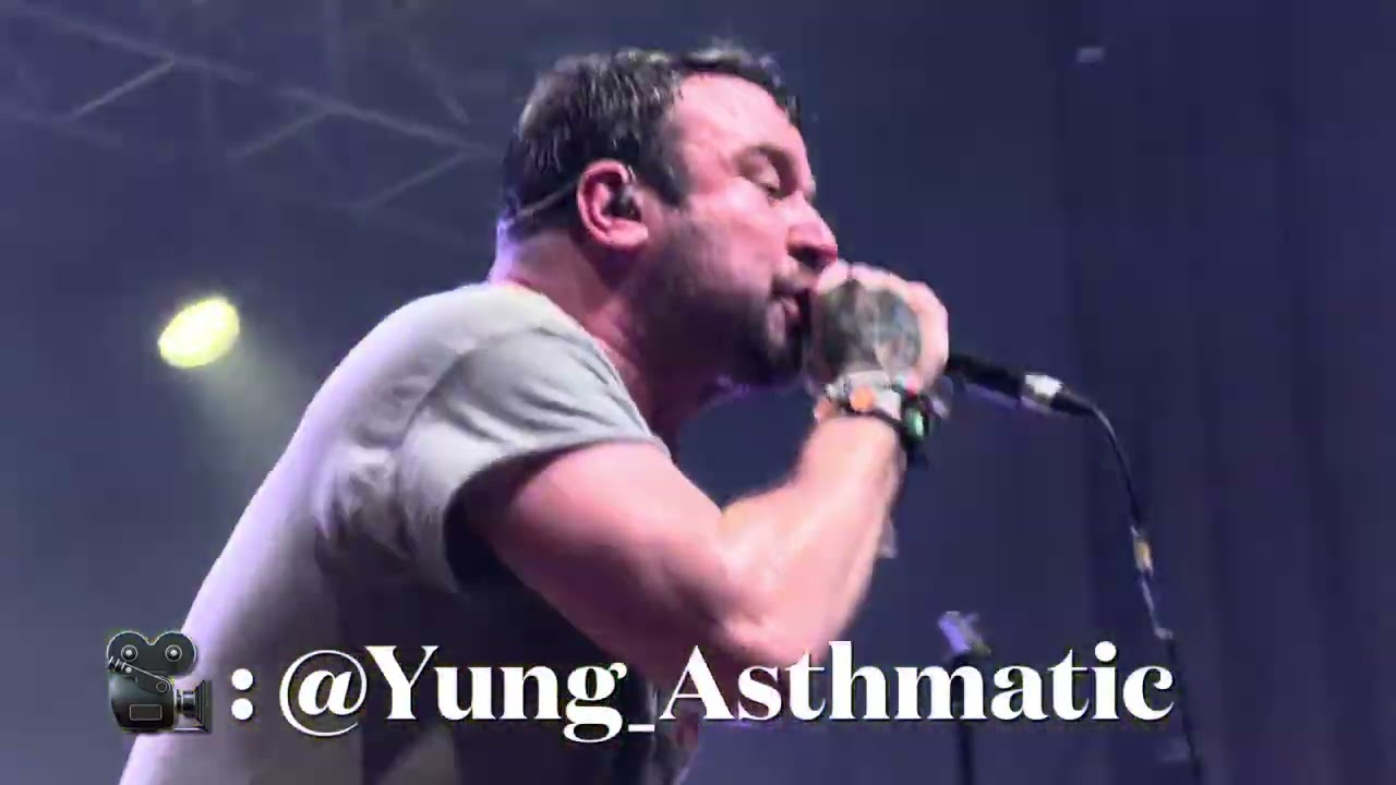 Say Anything - Auto Harmonic Ass Fixation (Live)